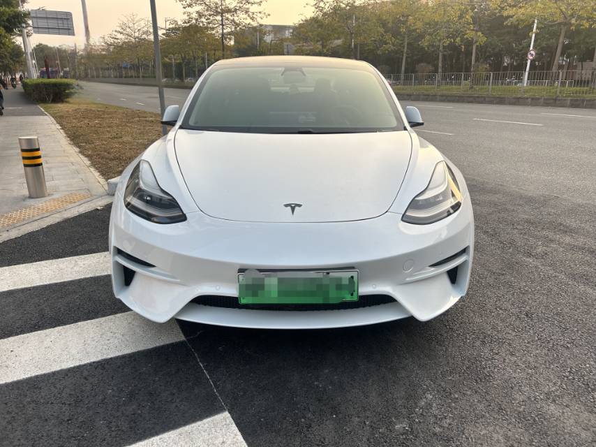 Tesla Model 3 (Imported) 2020 car image #4