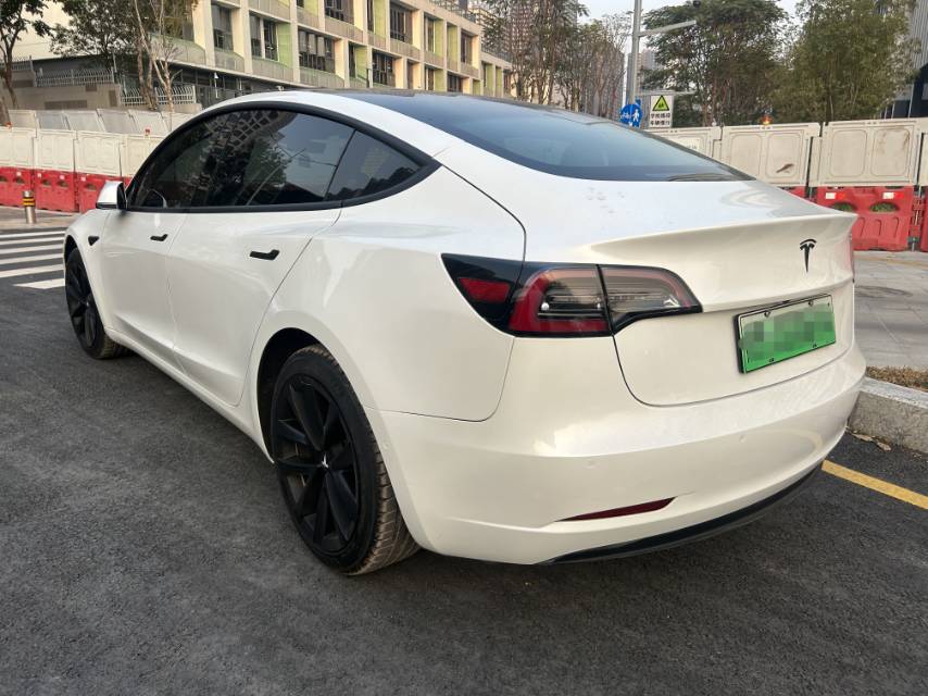 Tesla Model 3 (Imported) 2020 car image #8