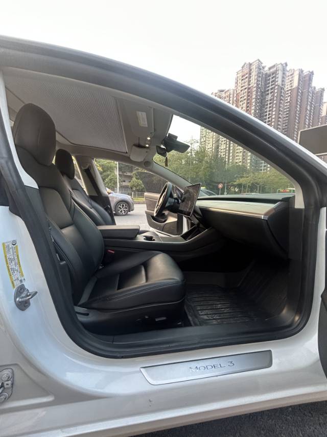 Tesla Model 3 (Imported) 2020 car image #9