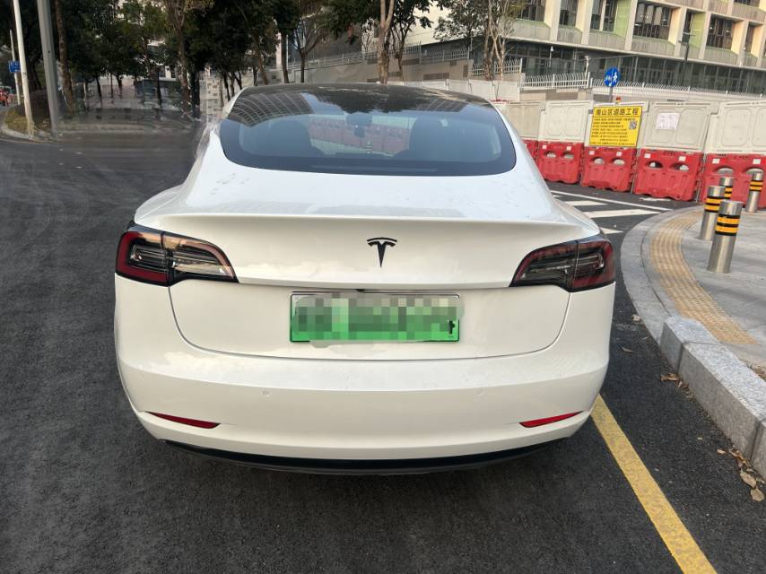 Tesla Model 3 (Imported) 2020 car image #7