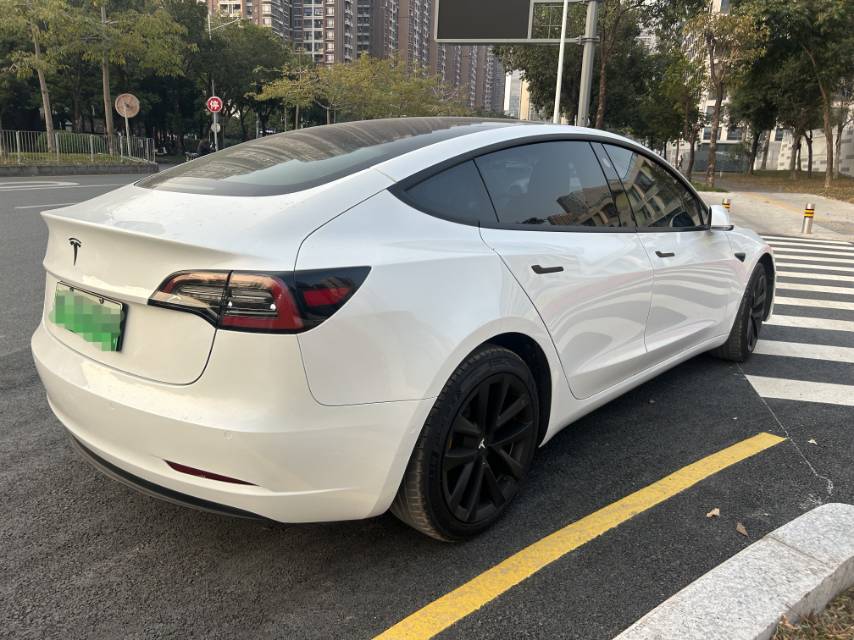Tesla Model 3 (Imported) 2020 car image #6