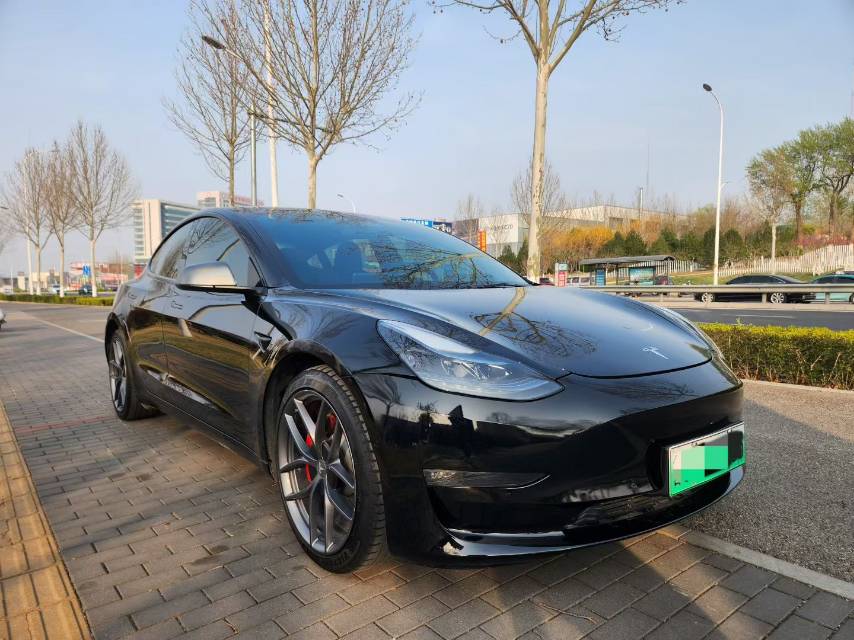 Tesla Model 3 2021 #5 Tesla Model 3 2021 car image #5