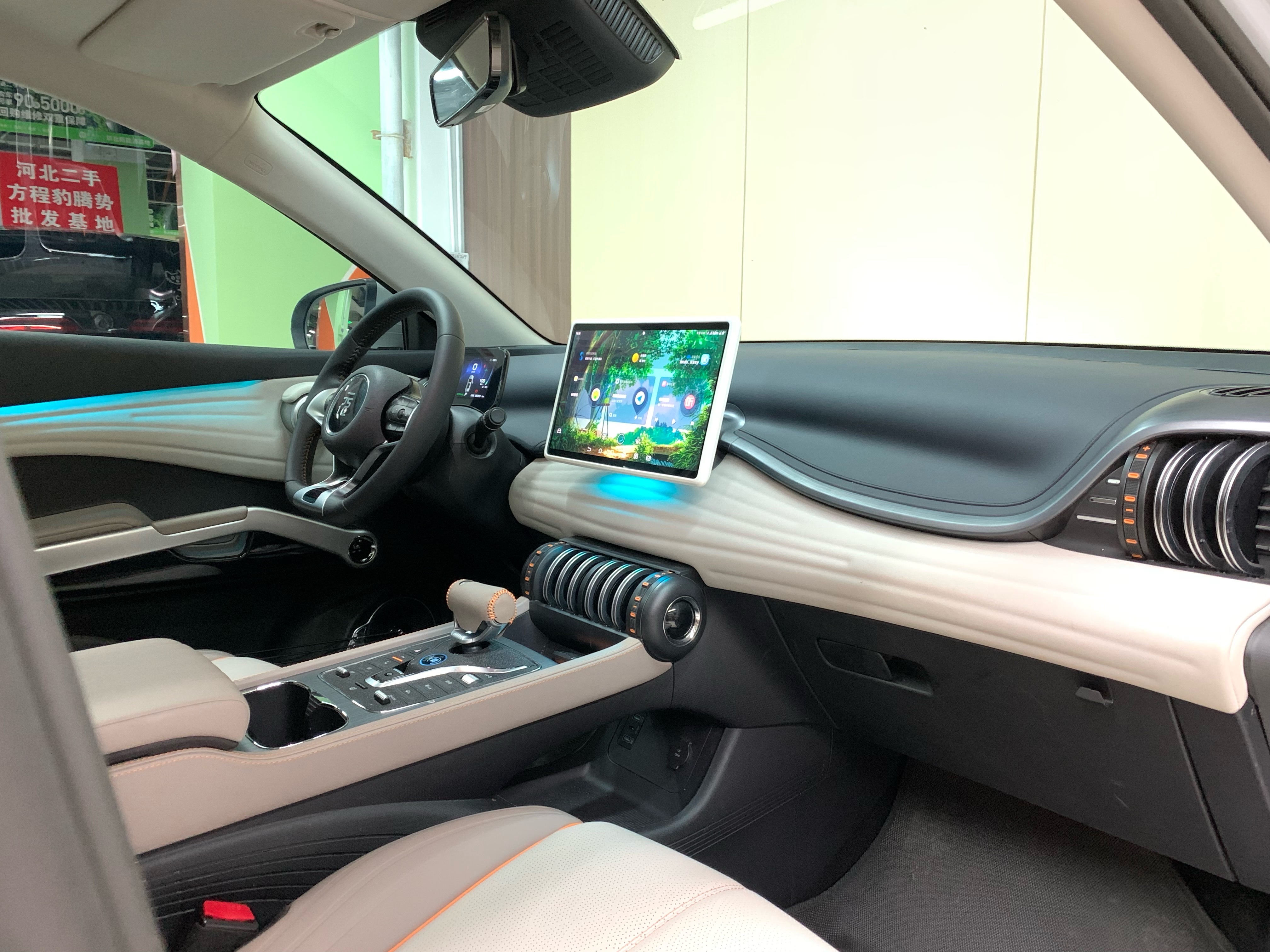 BYD Yuan Plus 2024 car image #9