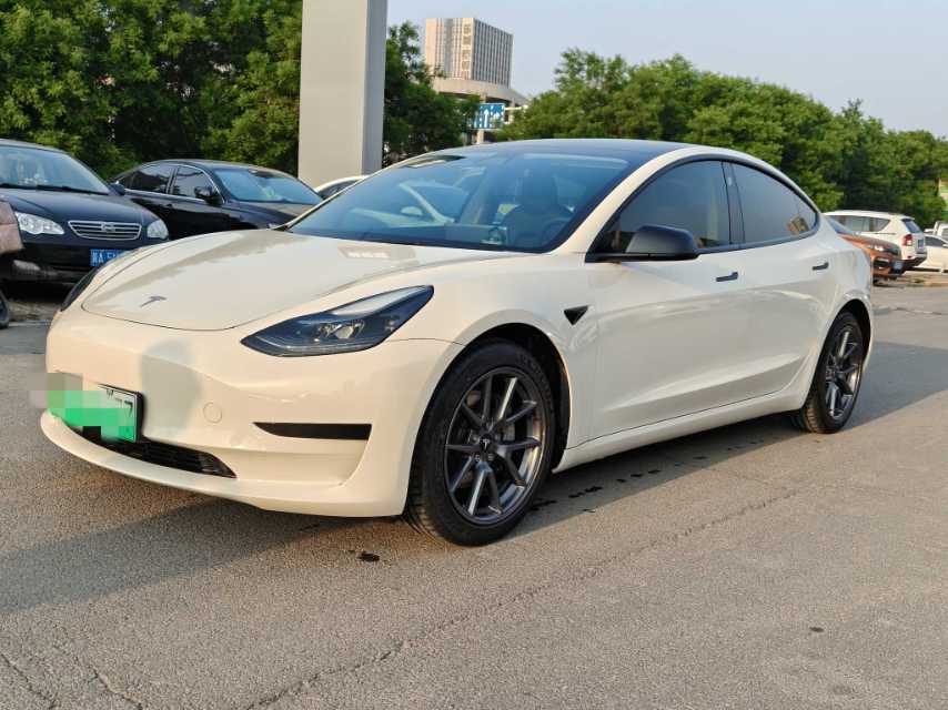Tesla Model 3 2021 #2 Tesla Model 3 2021 car image #2