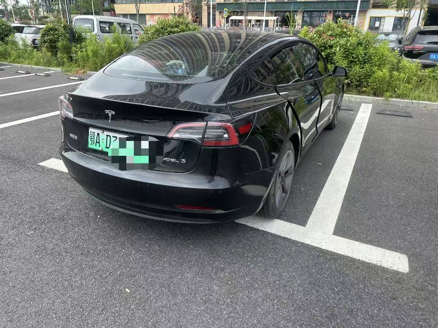 Tesla Model 3 2021 immagine di auto #8