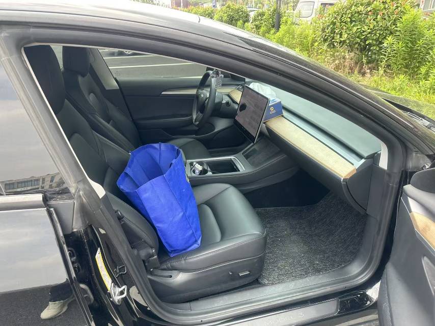 Tesla Model 3 2021 immagine di auto #7
