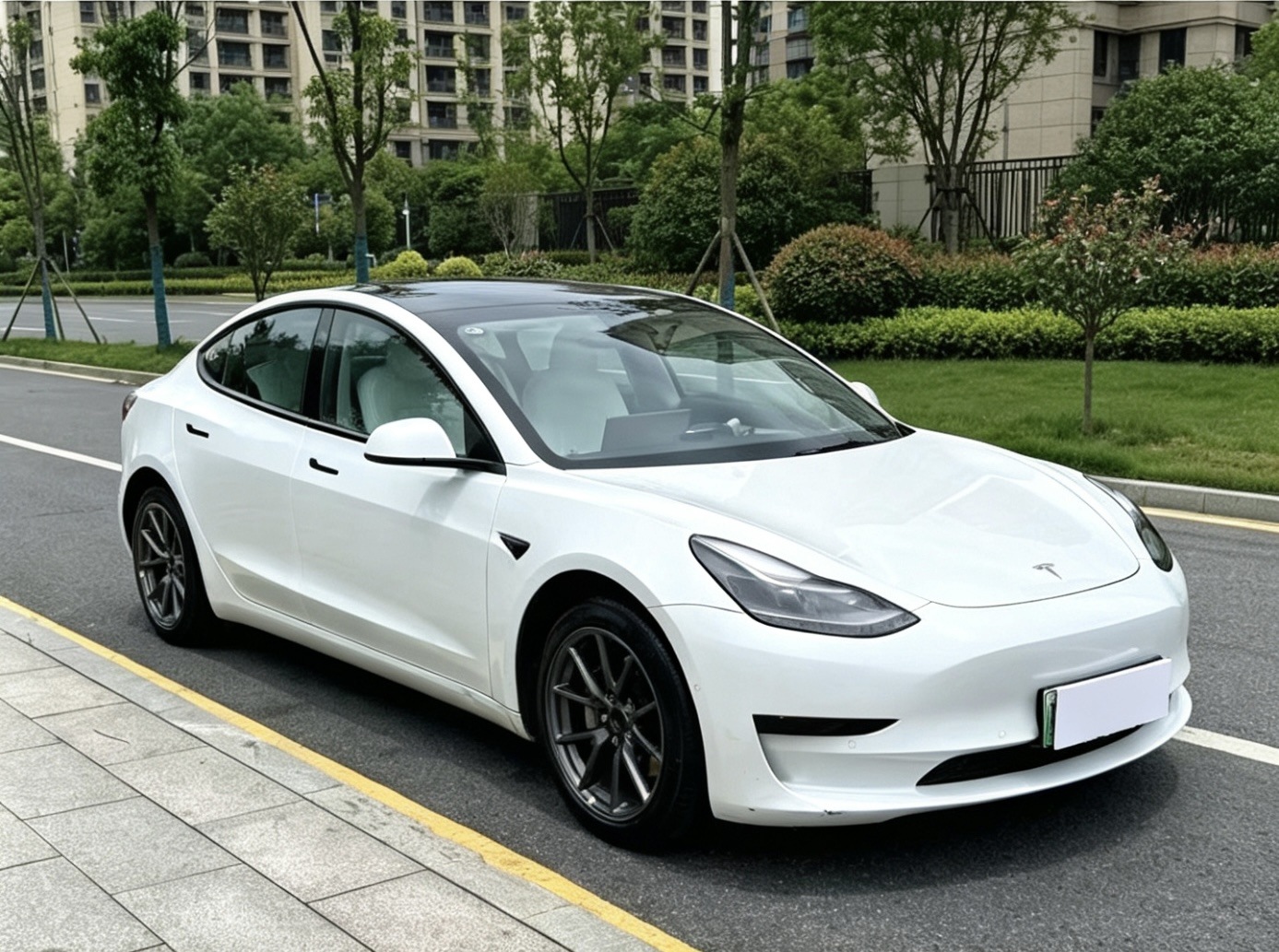 Tesla Model 3 2021 car image #5