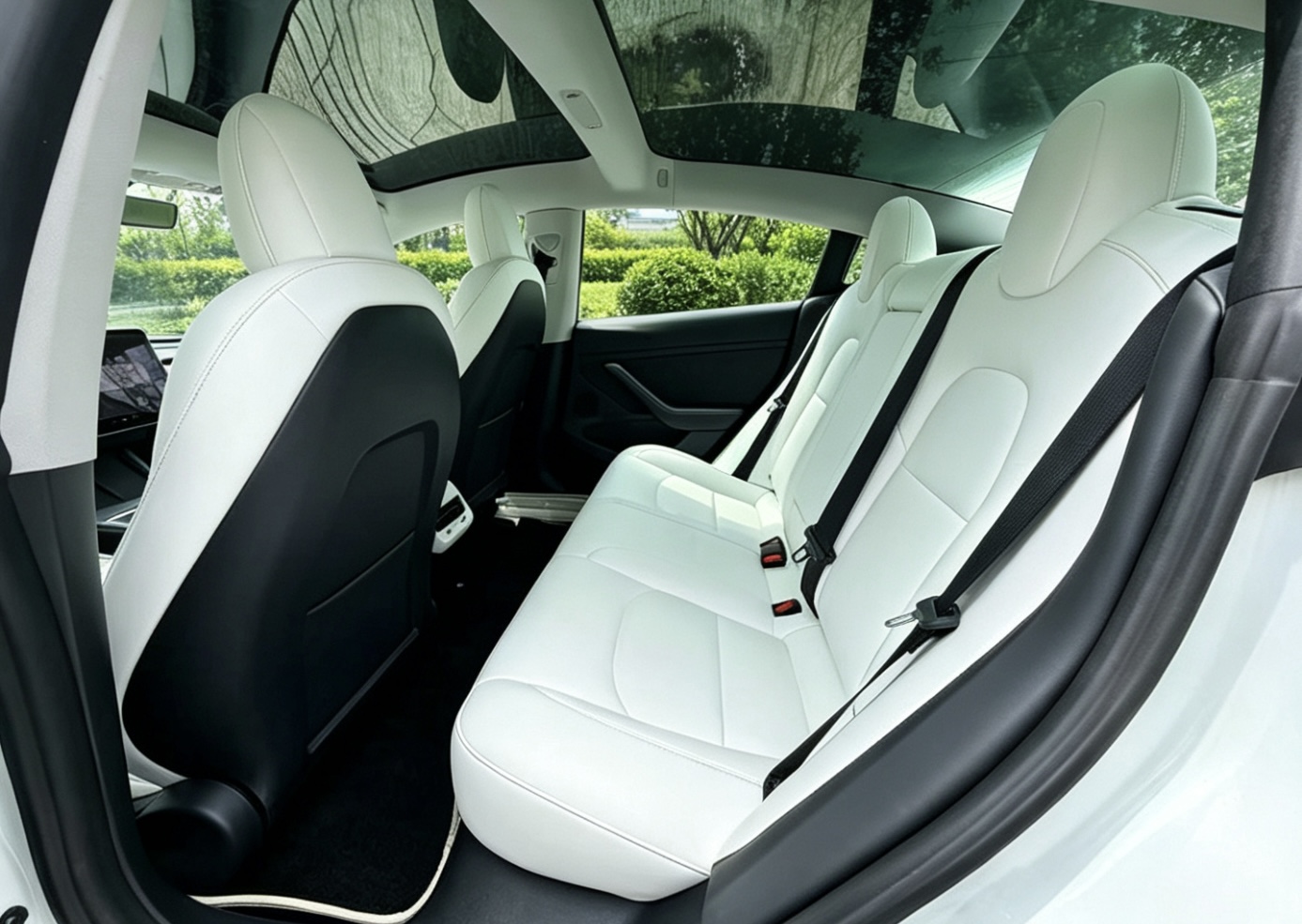 Tesla Model 3 2021 car image #8