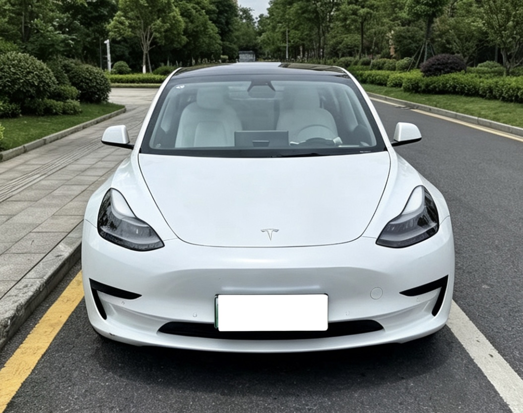 Tesla Model 3 2021 car image #4
