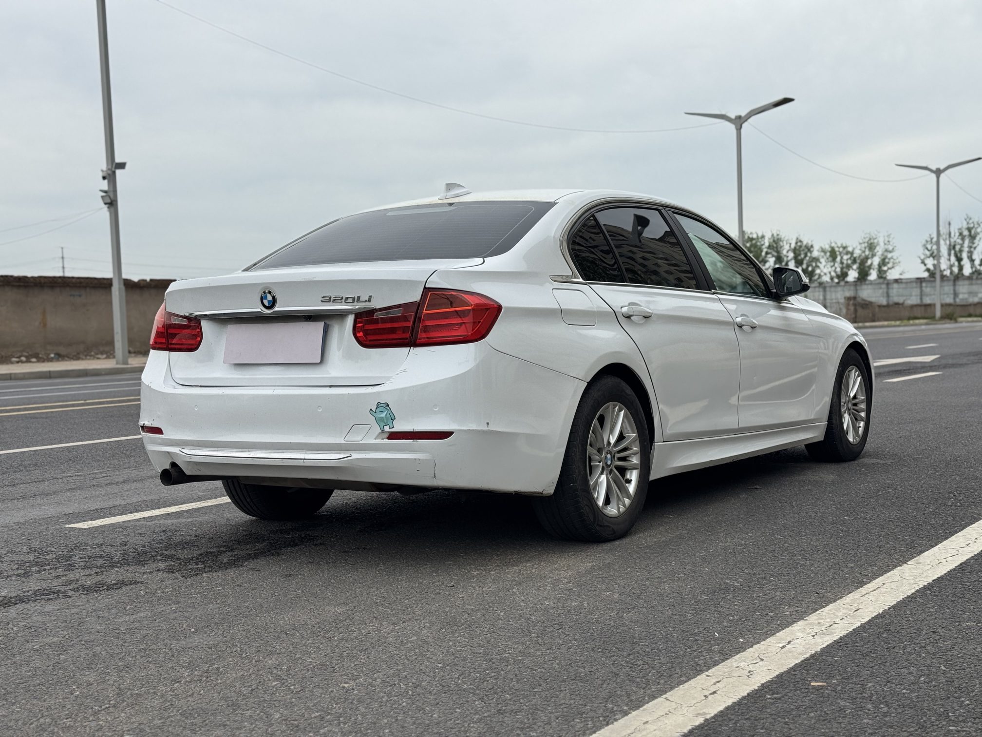 BMW 3 Series 2013 car image #11