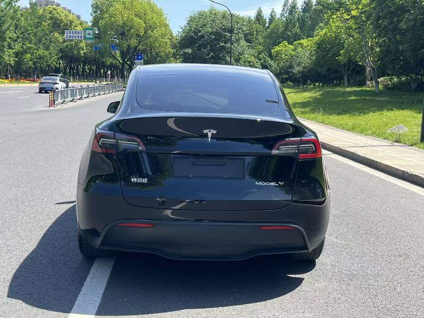 Tesla Model Y 2022 car image #10