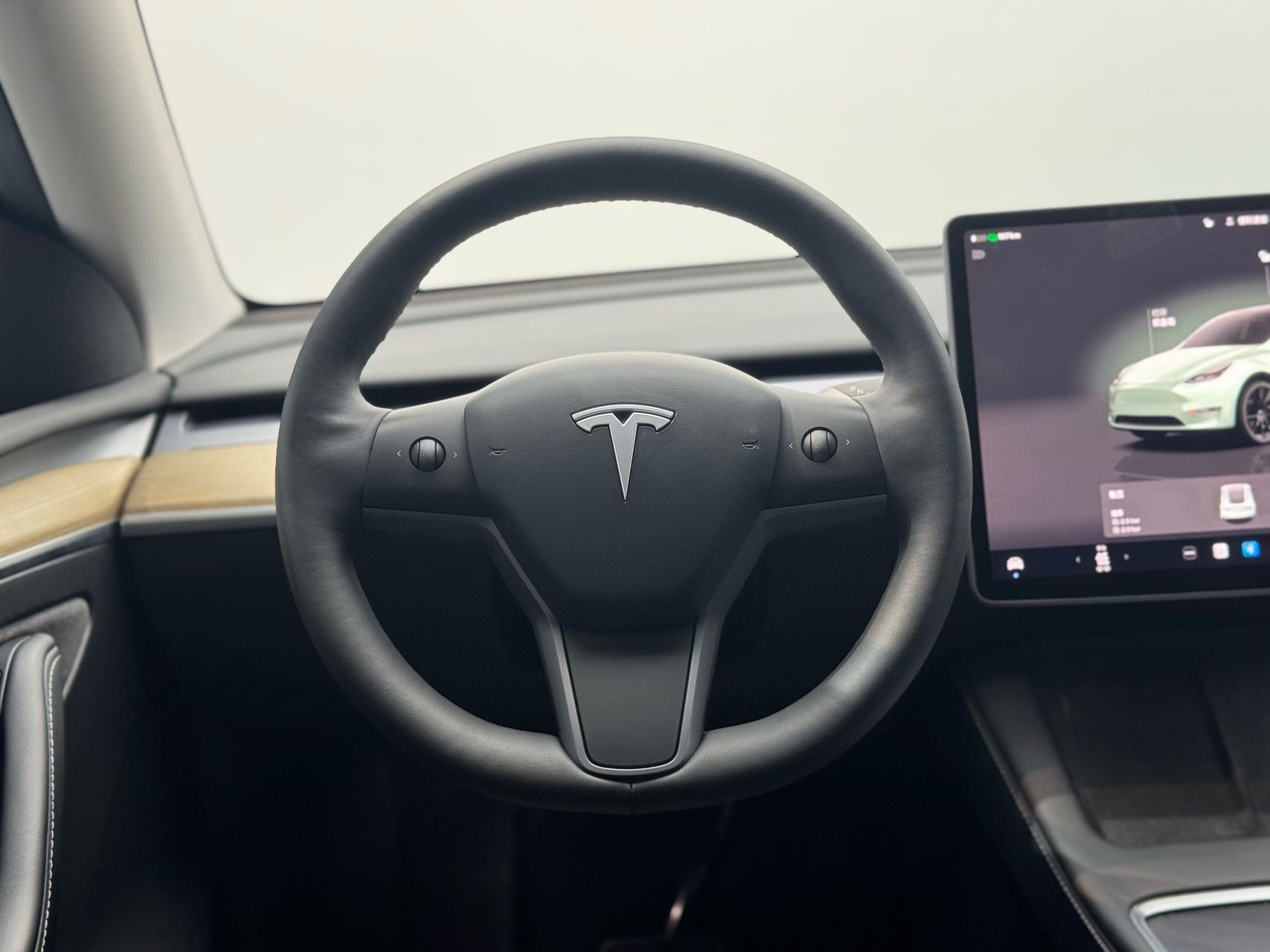 Tesla Model Y 2023 car image #13