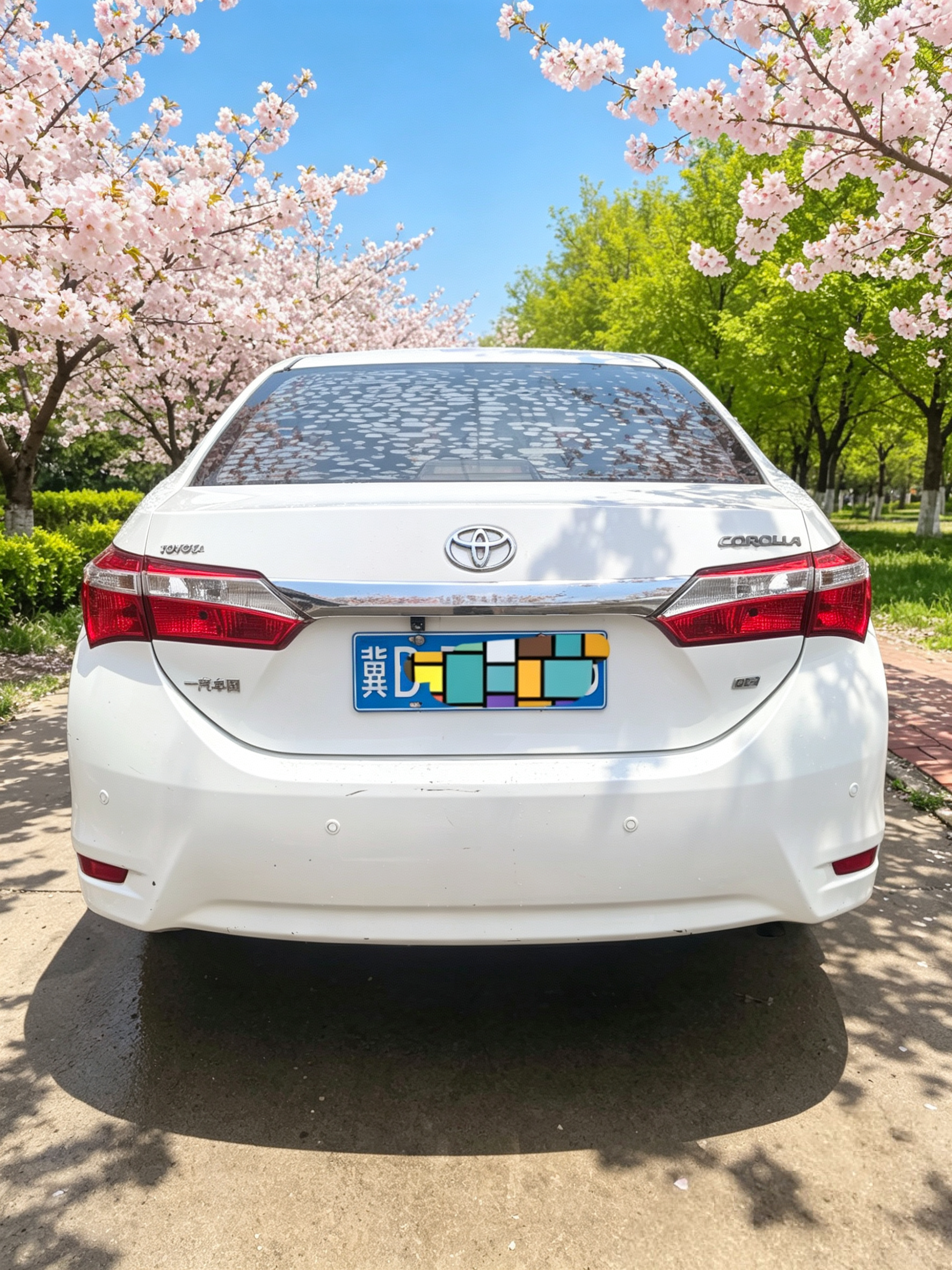 Toyota Corolla 2015 #7 Toyota Corolla 2015 car image #7