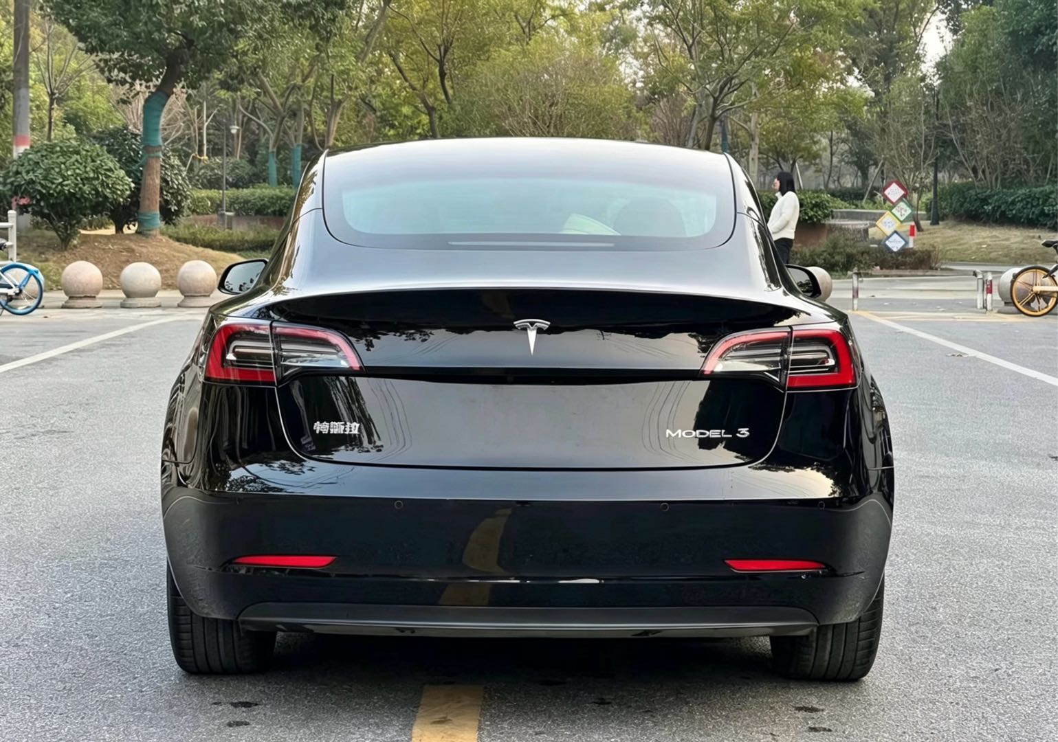 Tesla Model 3 2023 car image #7
