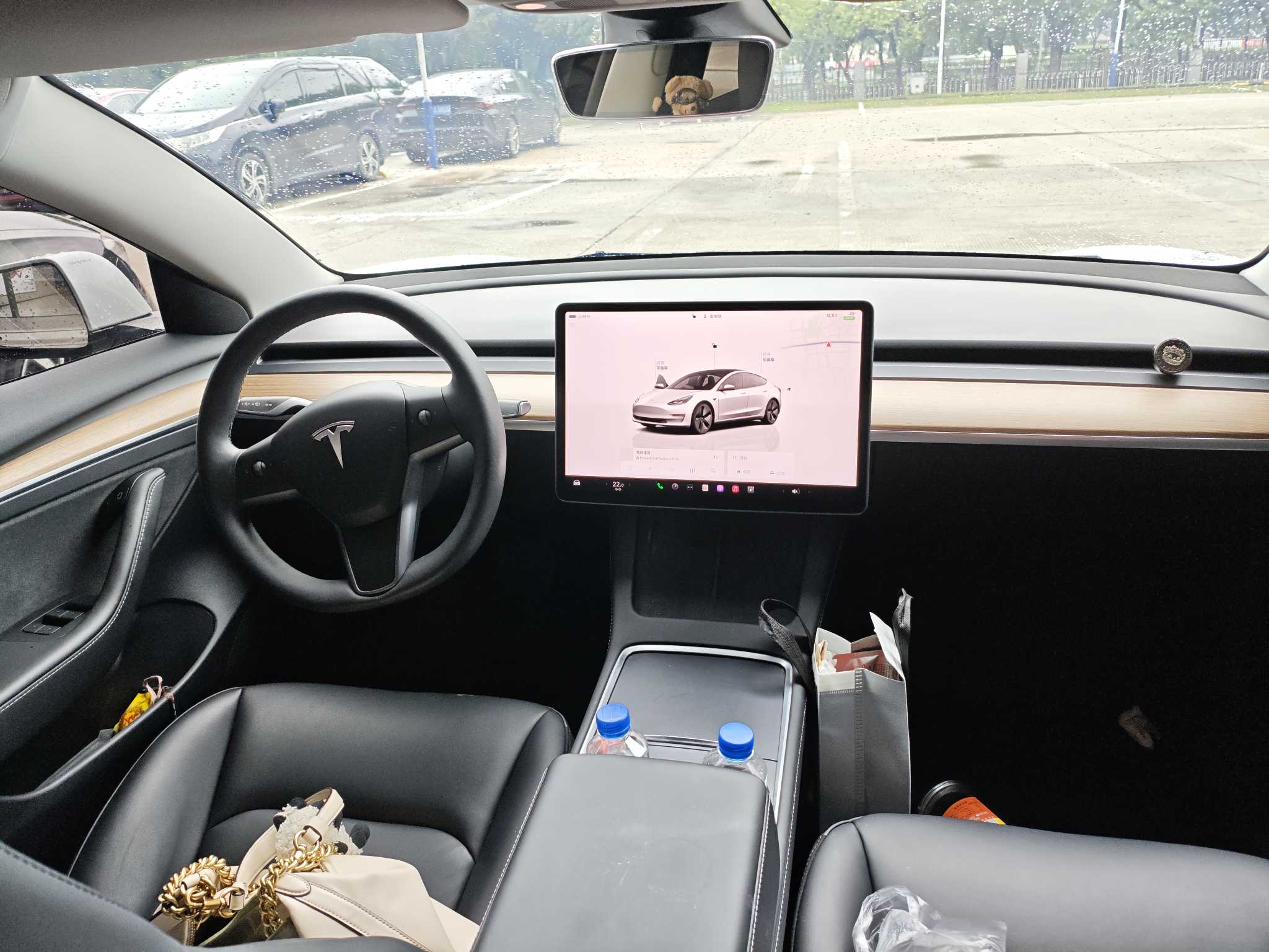 Tesla Model 3 2023 #7 Tesla Model 3 2023 car image #7