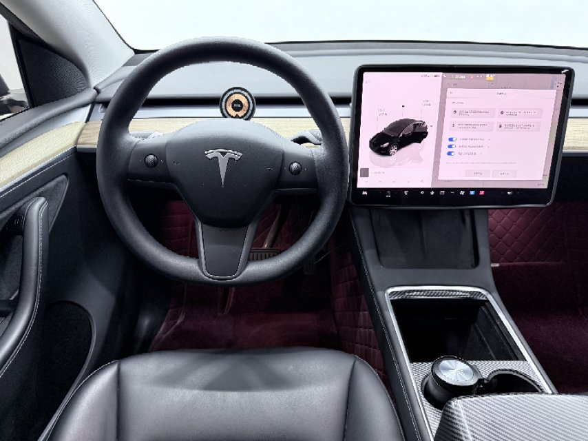Tesla Model Y 2023 car image #10