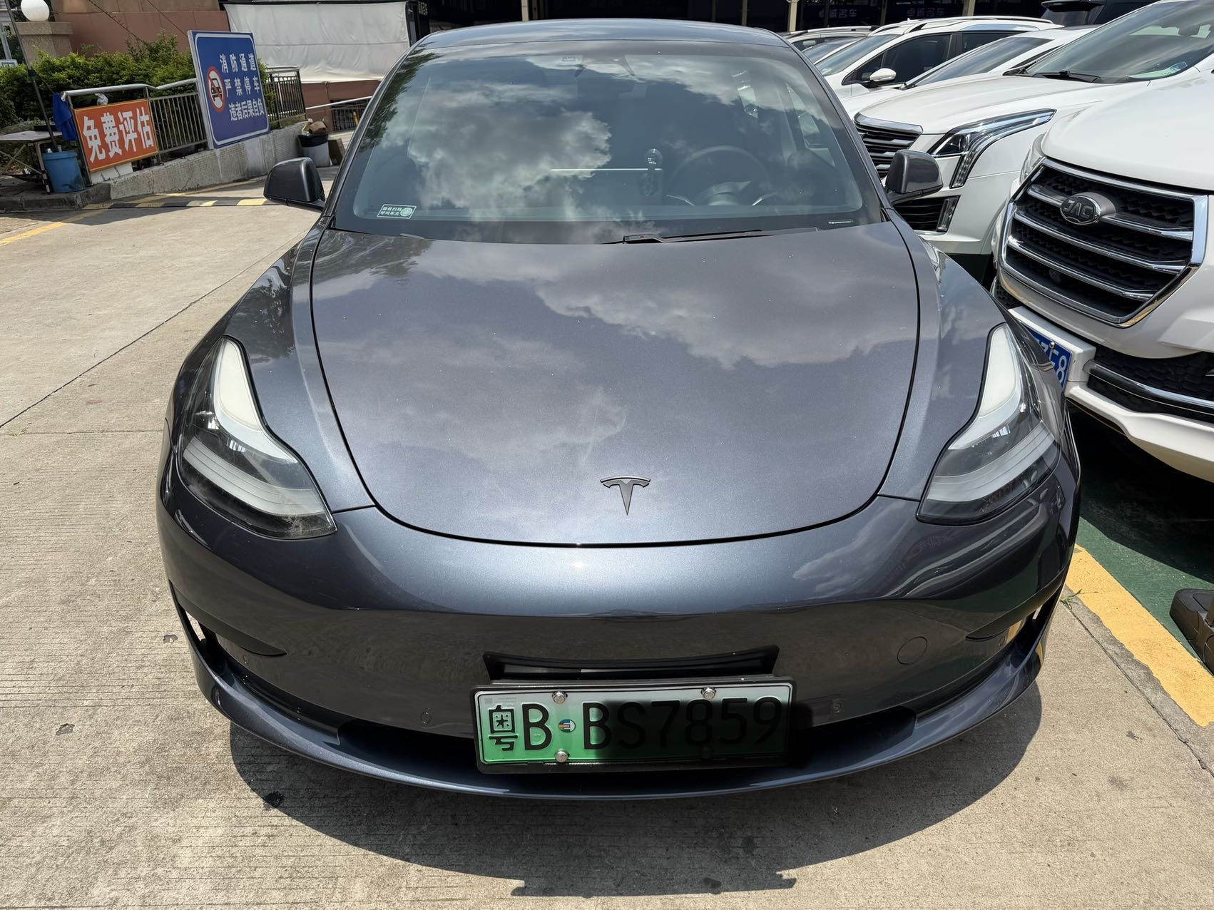 Tesla Model 3 2020 car image #4