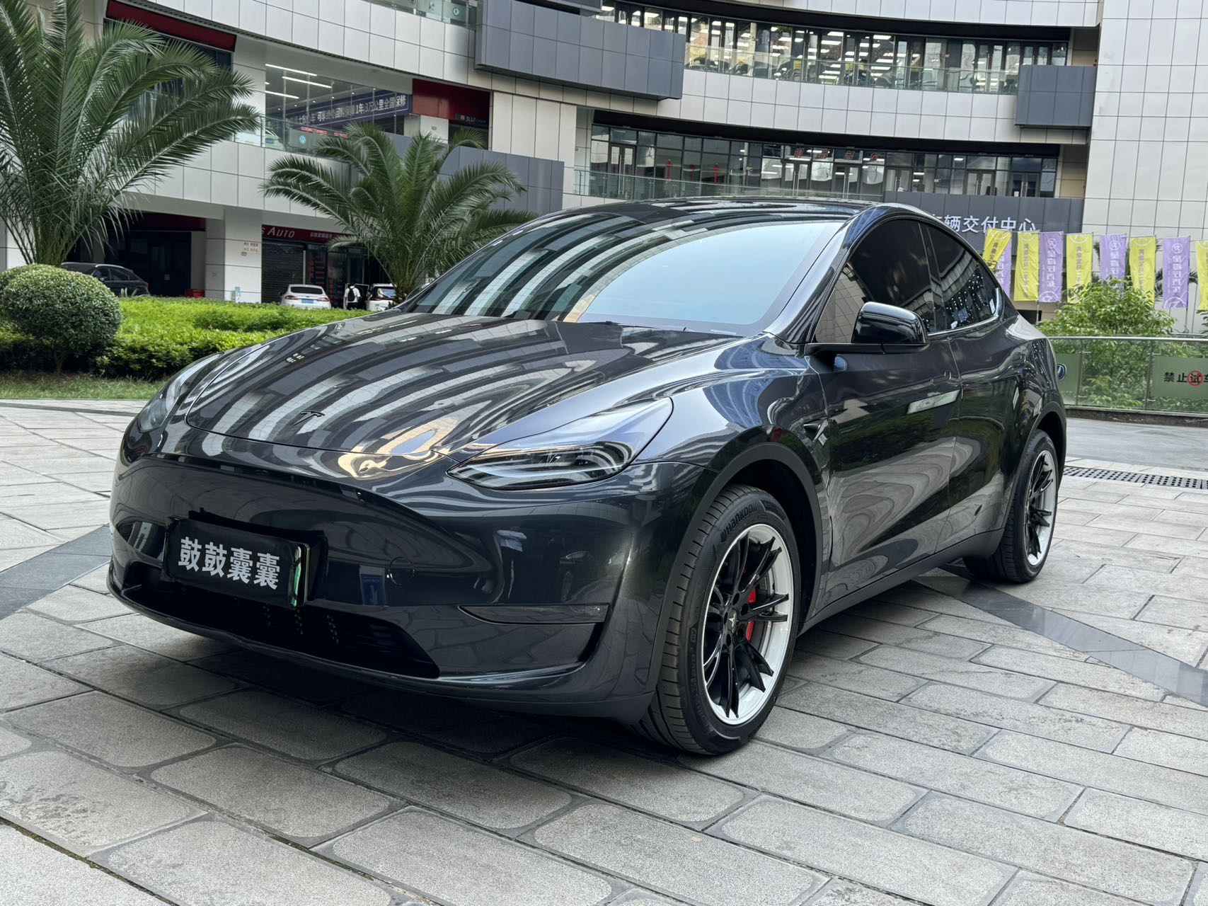 Tesla Model Y 2024 car image #2
