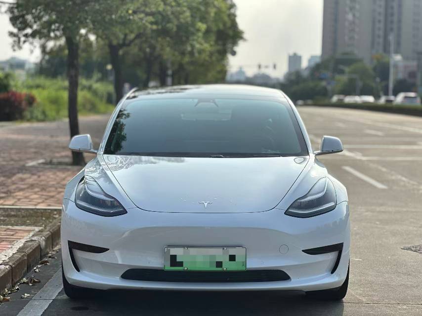 Tesla Model 3 2020 #4 Tesla Model 3 2020 car image #4