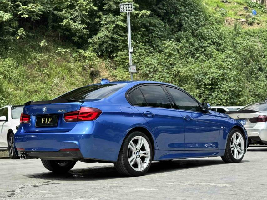 BMW 3 Series 2018 car image #6