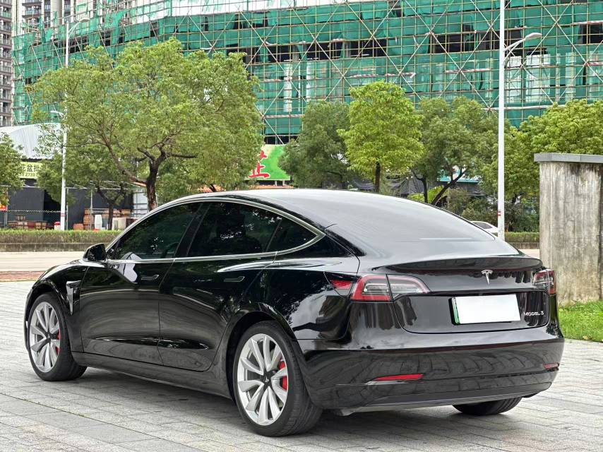 Tesla Model 3 2021 car image #9