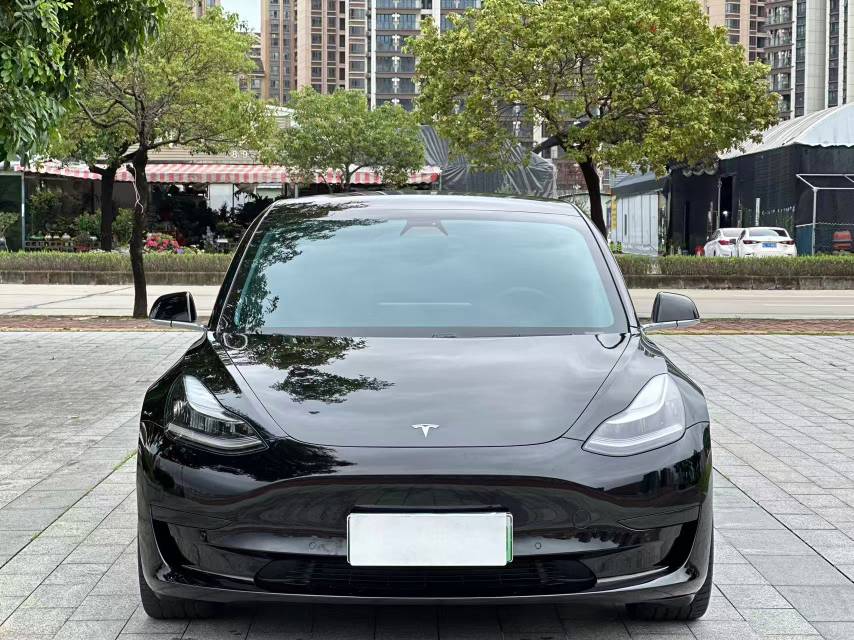 Tesla Model 3 2021 car image #4