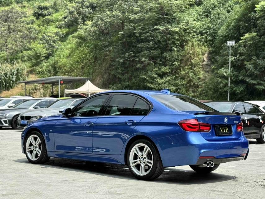 BMW 3 Series 2018 car image #5