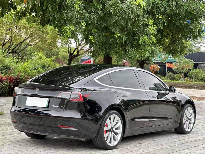 Tesla Model 3 2021 car image #11