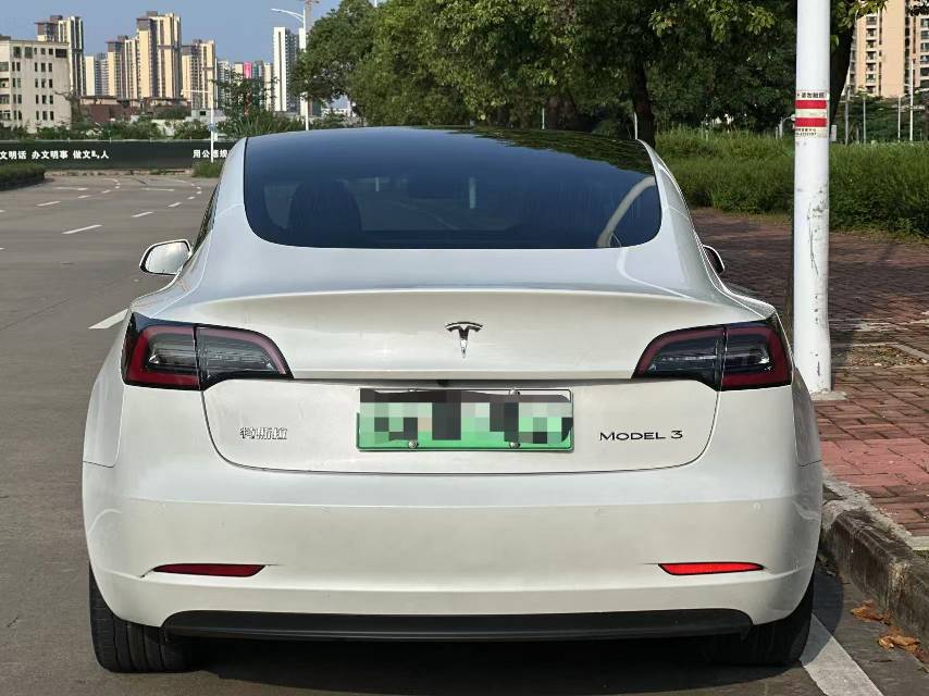Tesla Model 3 2020 #11 Tesla Model 3 2020 car image #11