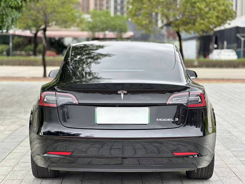 Tesla Model 3 2021 car image #10