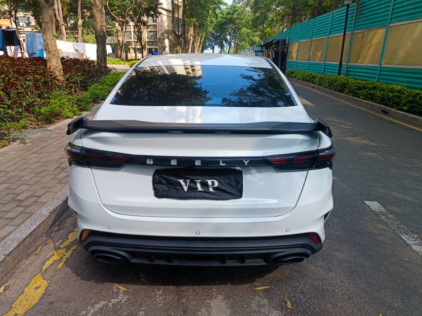 GEELY Binray 2022 #10 GEELY Binray 2022 immagine di auto #10