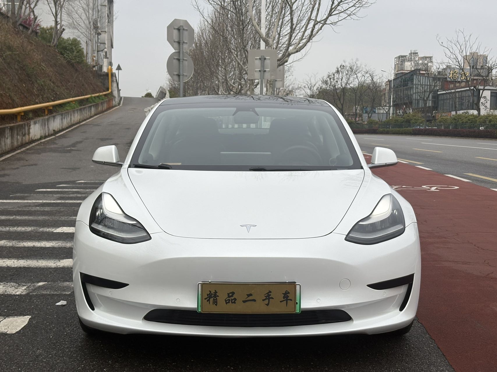 Tesla Model 3 2020 car image #3