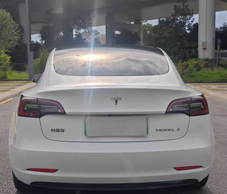 Tesla Model 3 2023 immagine di auto #11