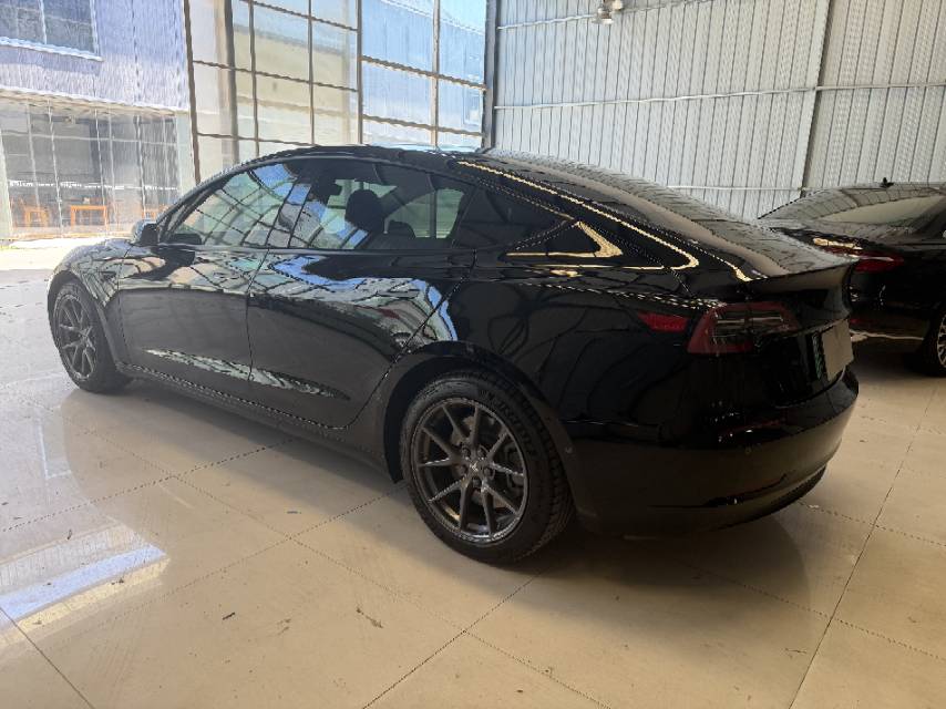 Tesla Model 3 2023 #7 Tesla Model 3 2023 car image #7