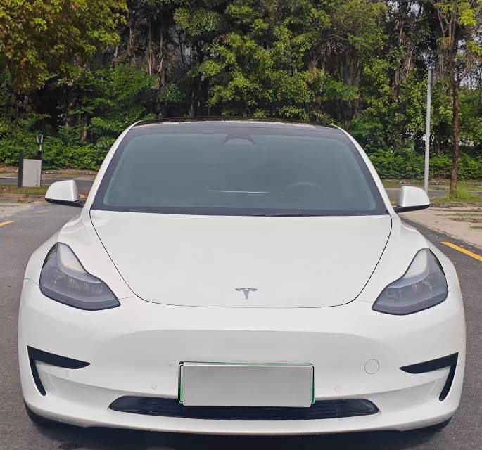 Tesla Model 3 2023 immagine di auto #4