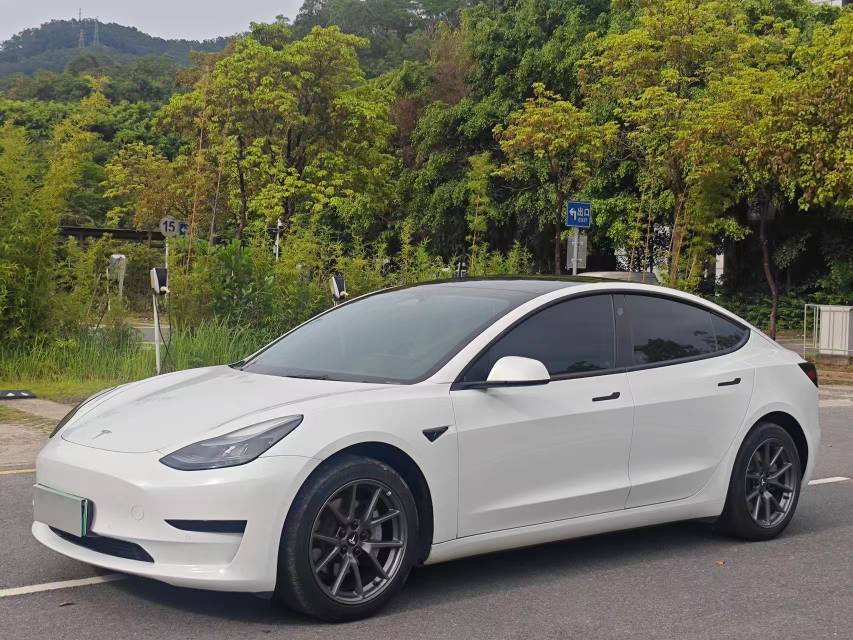 Tesla Model 3 2023 immagine di auto #2