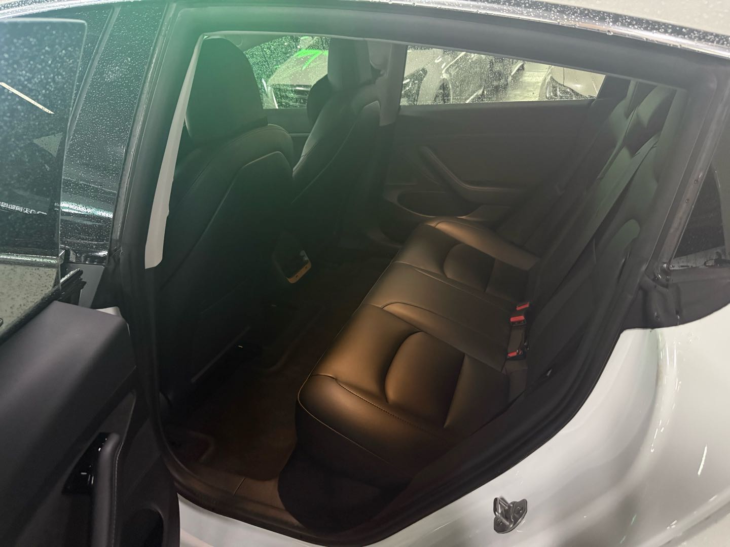 Tesla Model 3 2020 immagine di auto #8