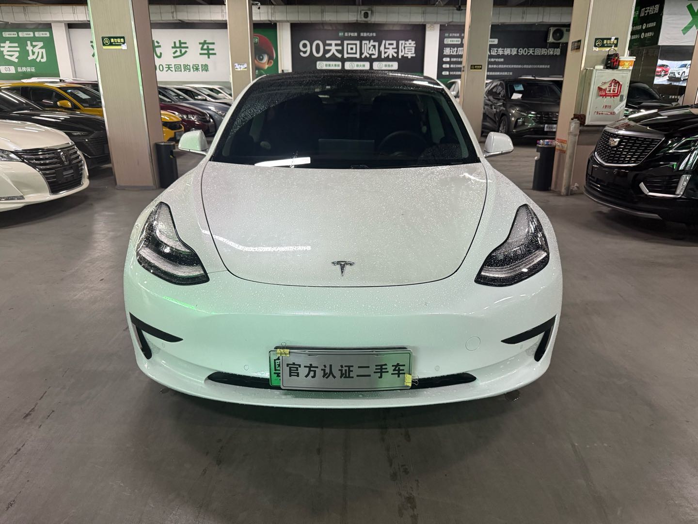 Tesla Model 3 2020 immagine di auto #4