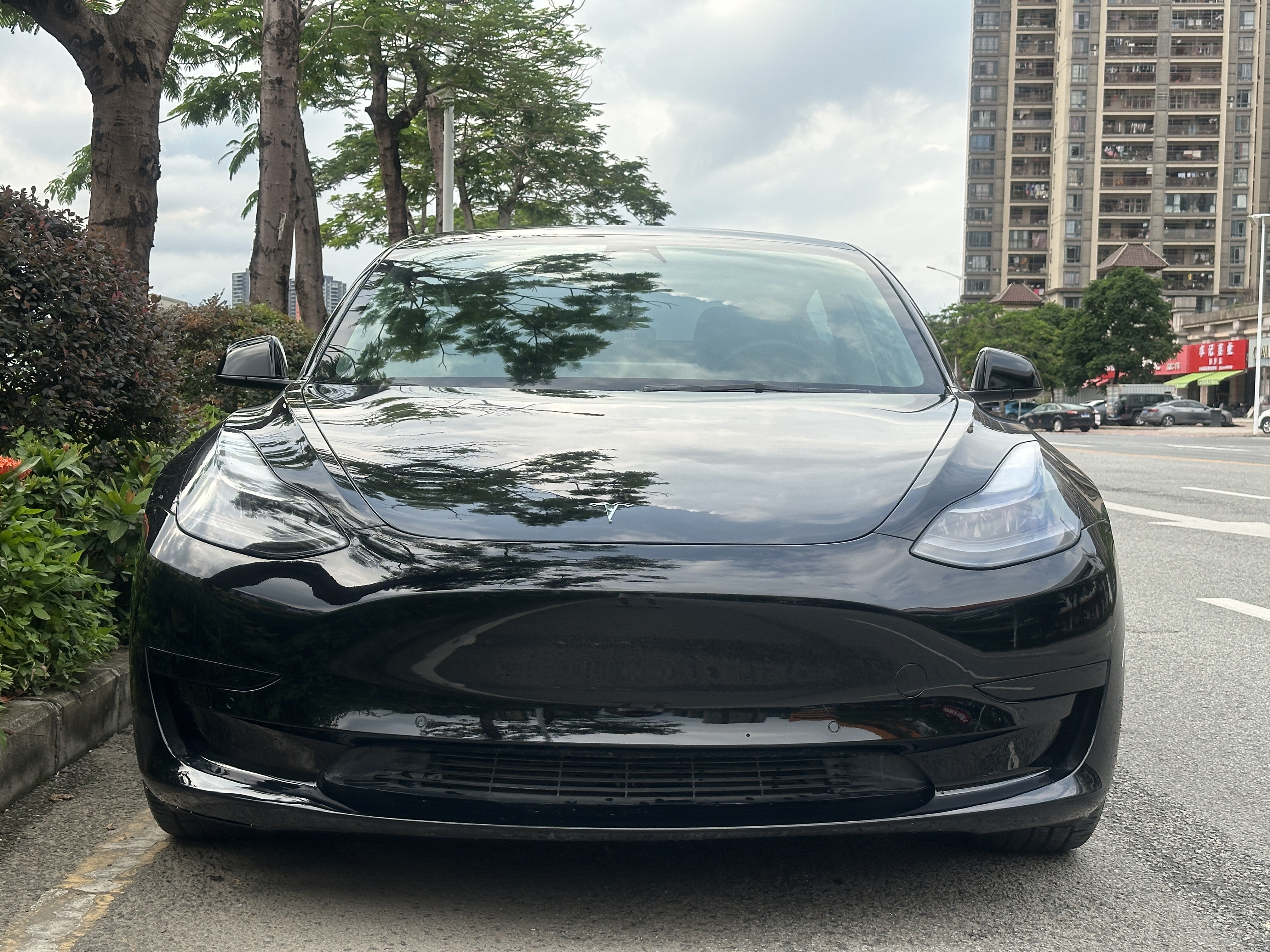 Tesla Model 3 2021 car image #8