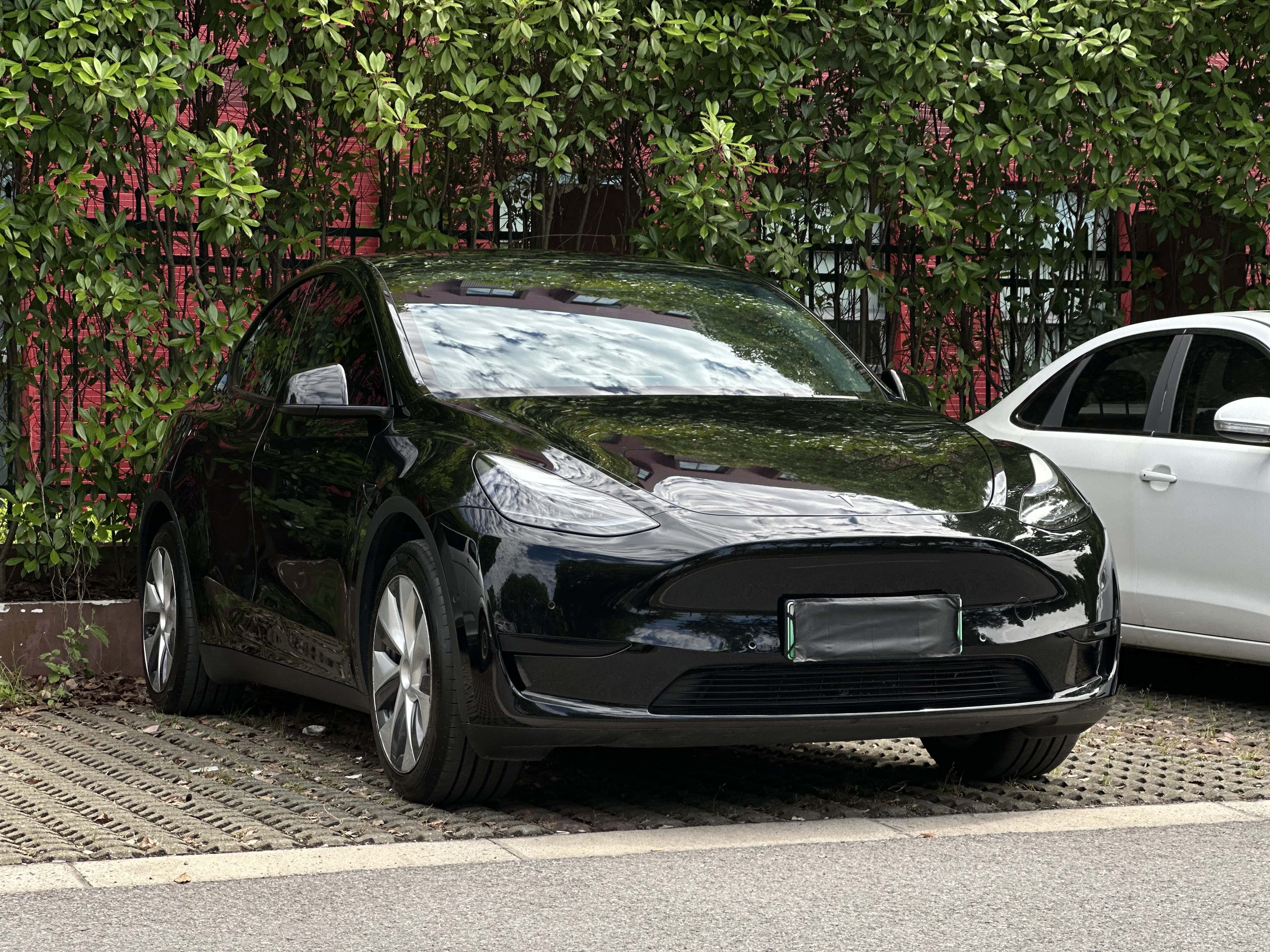 Tesla Model Y 2023 car image #5