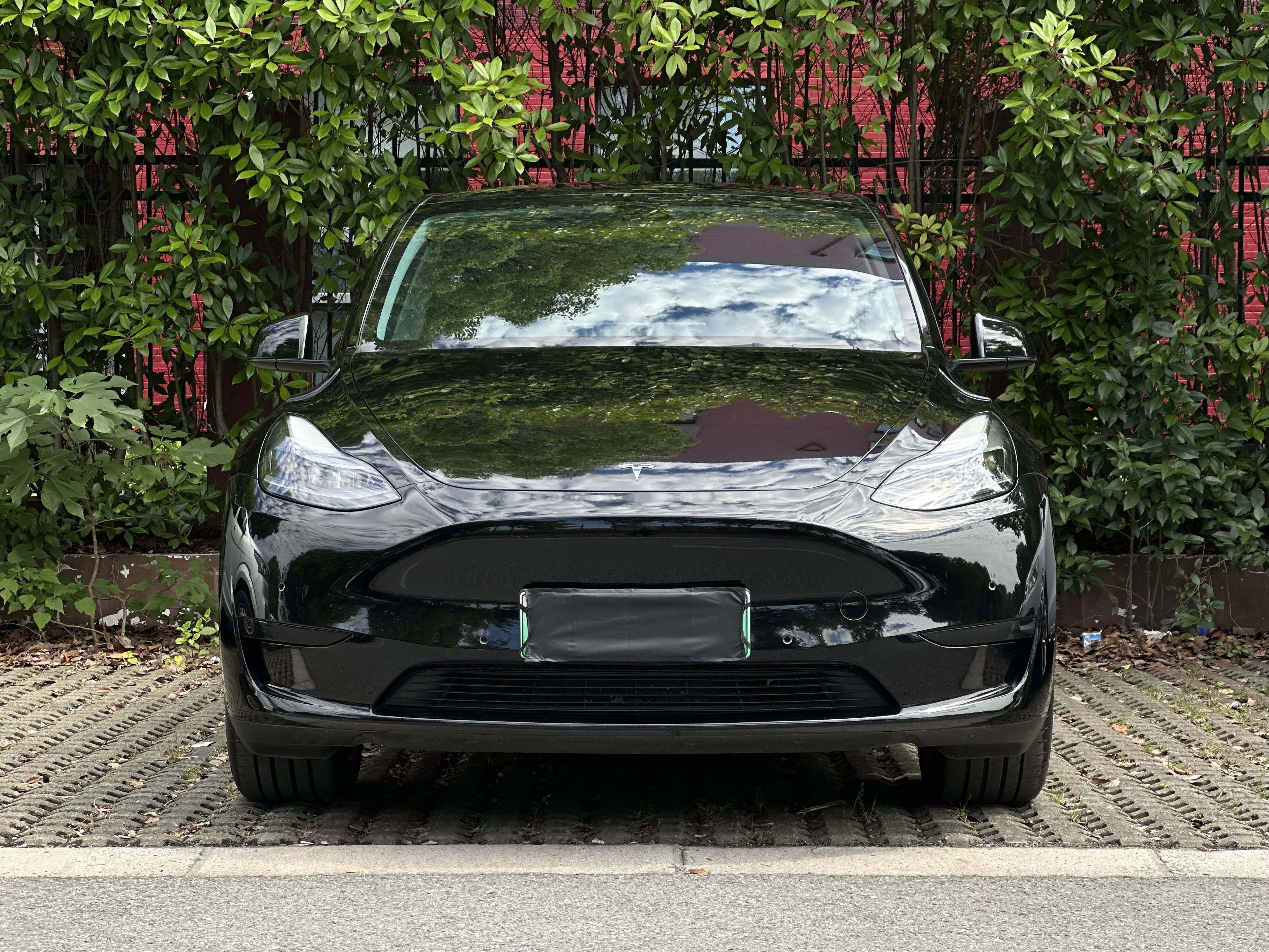 Tesla Model Y 2023 car image #4