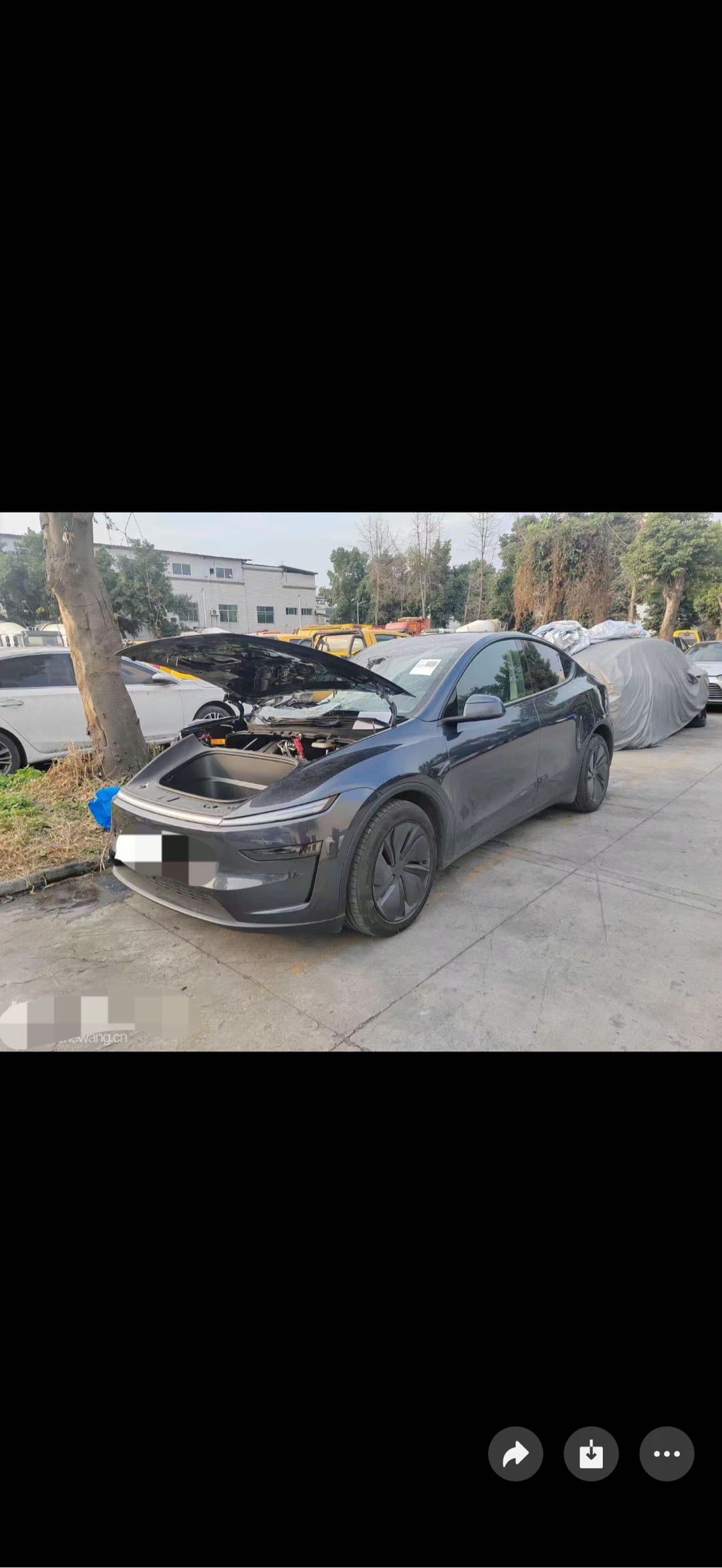 Tesla Model Y 2025 #11 Tesla Model Y 2025 car image #11