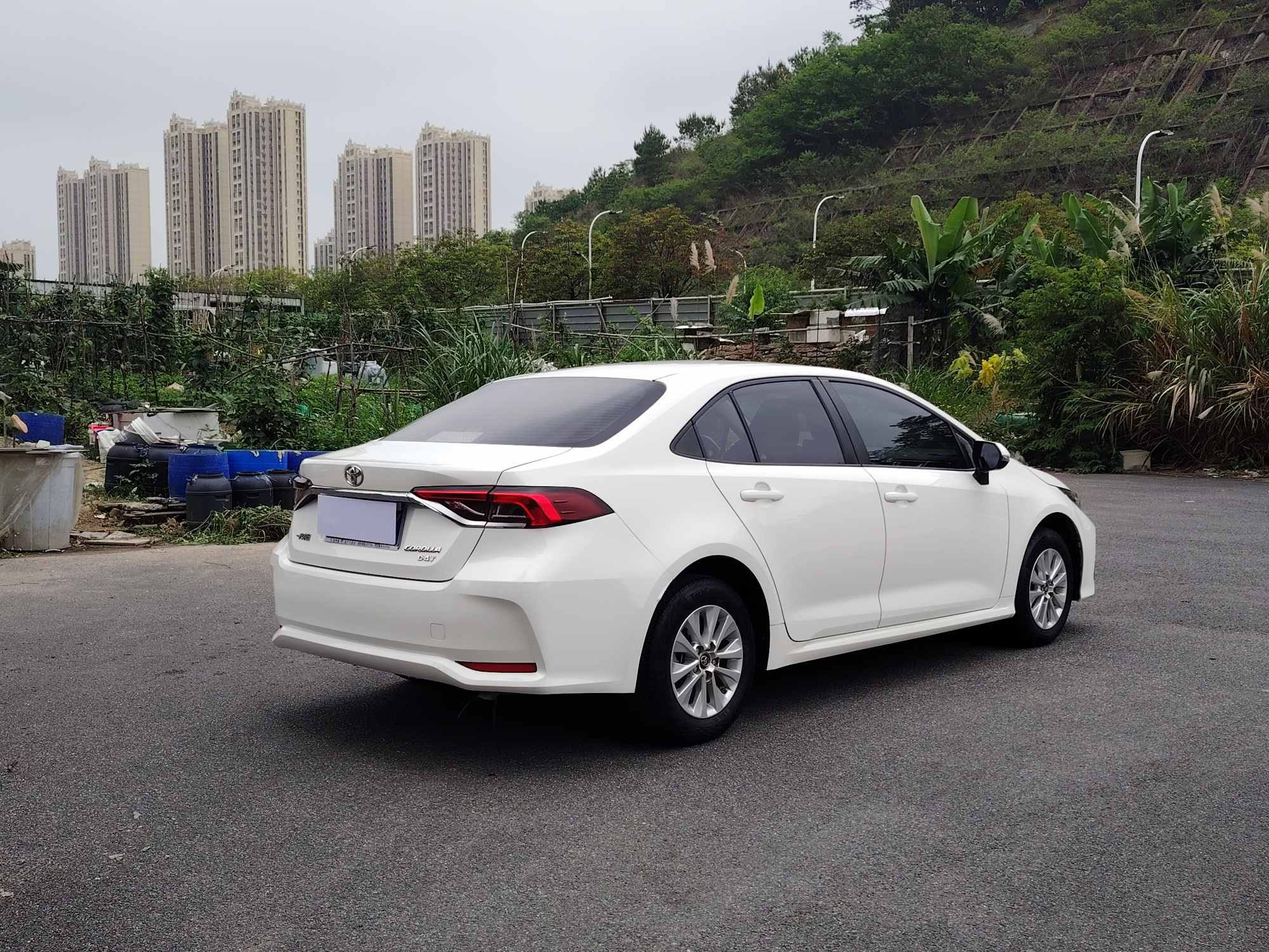 Toyota Corolla 2019 car image #7