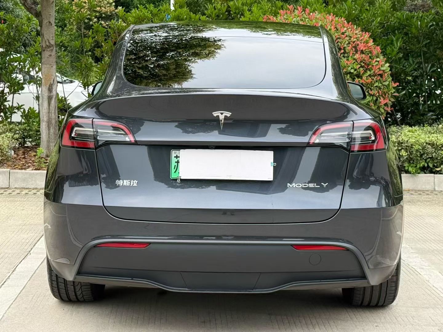 Tesla Model Y 2024 car image #6