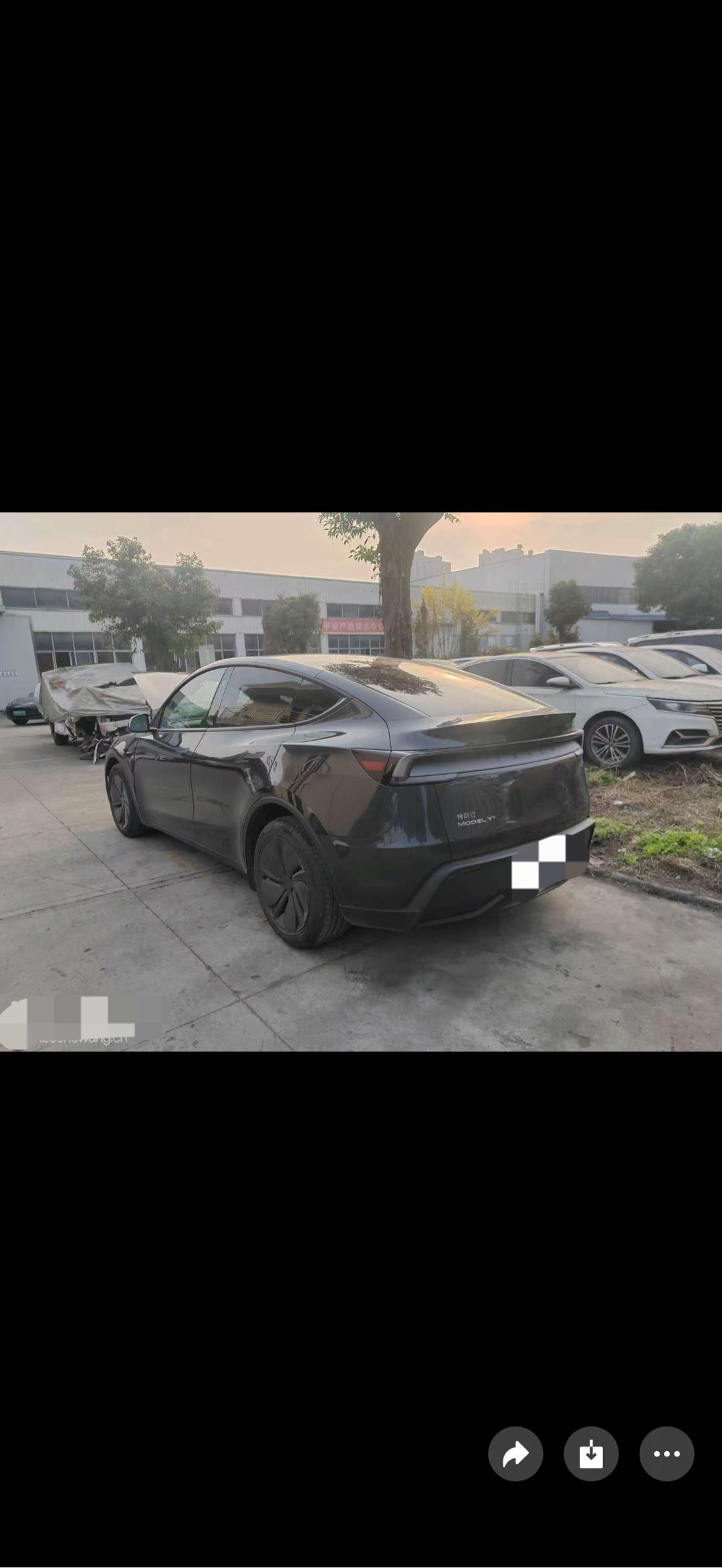Tesla Model Y 2025 #12 Tesla Model Y 2025 car image #12