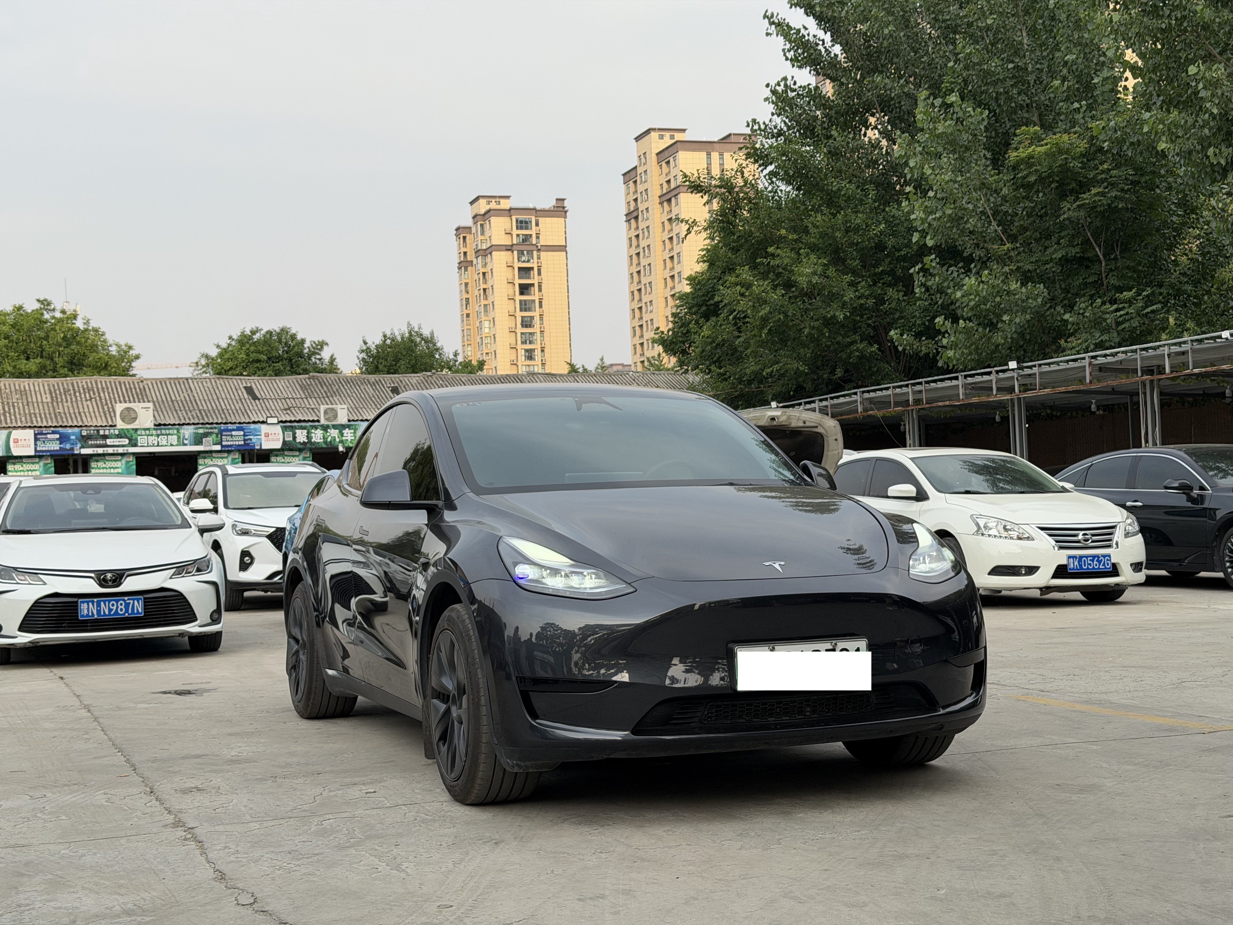 Tesla Model Y 2024 car image #5