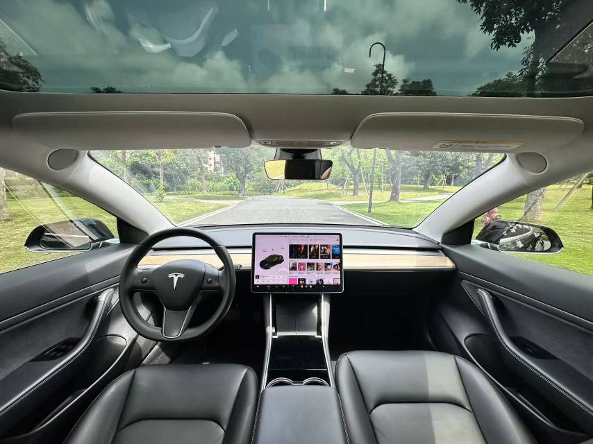 Tesla Model 3 2020 #8 Tesla Model 3 2020 car image #8