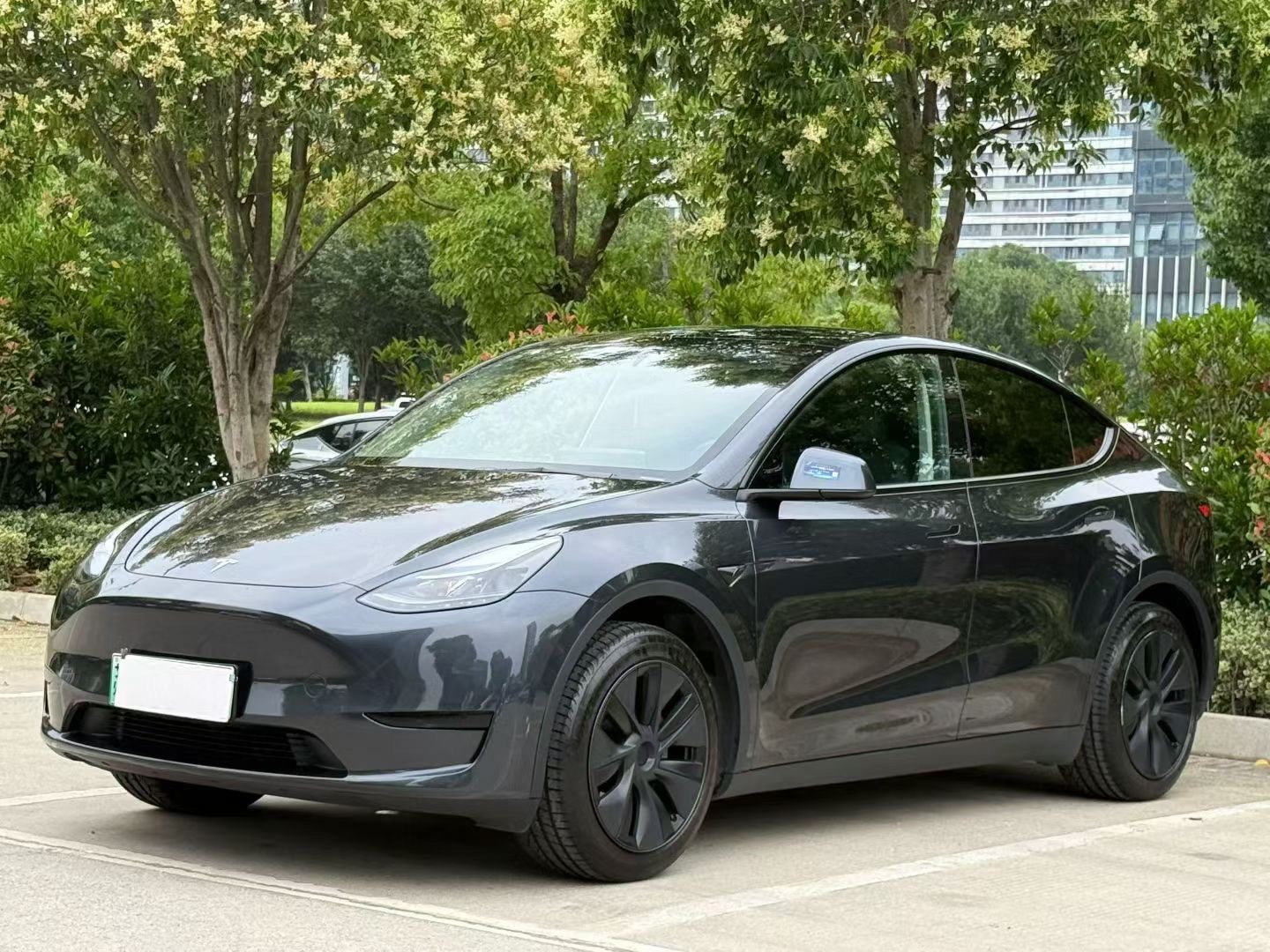 Tesla Model Y 2024 car image #2