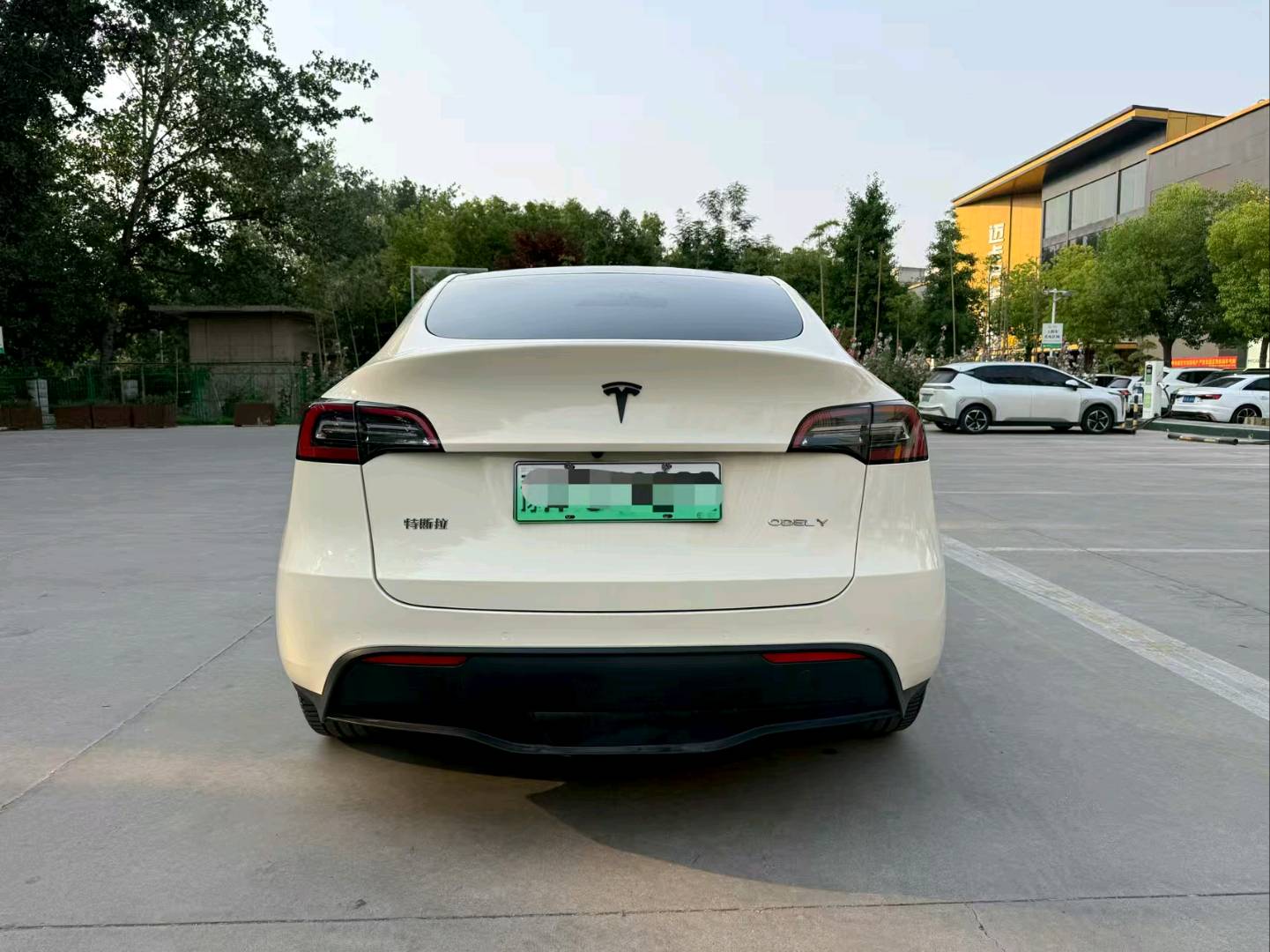 Tesla Model Y 2021 #7 Tesla Model Y 2021 car image #7