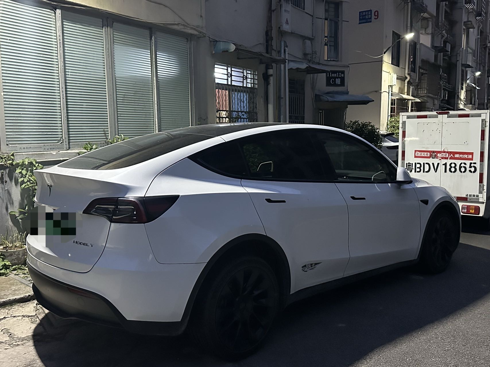 Tesla Model Y 2024 #8 Tesla Model Y 2024 car image #8